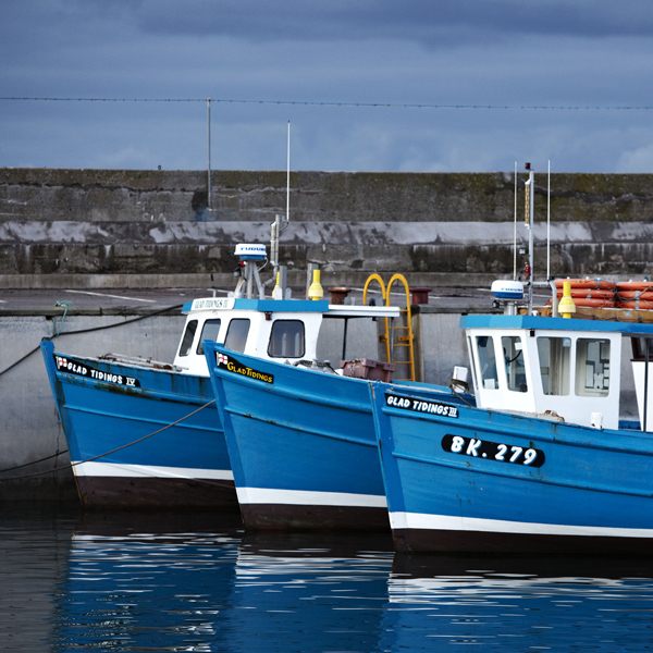 PTV Seahouses 600x600pix