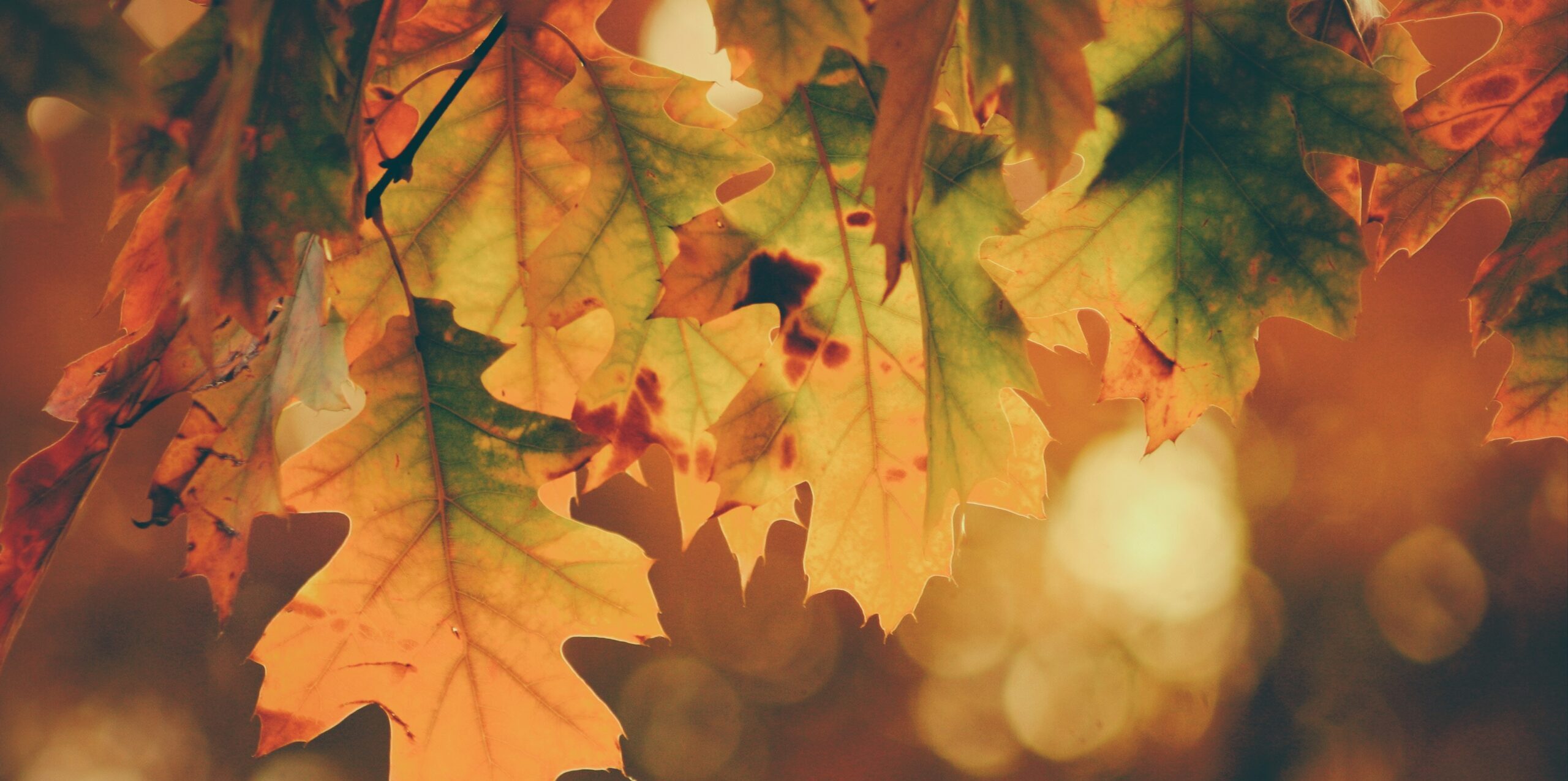 Autumn Christmas Tree